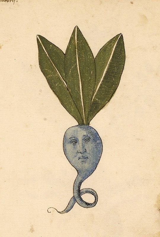 A blue root with a calm human face and a curling tail, crowned with long green leaves